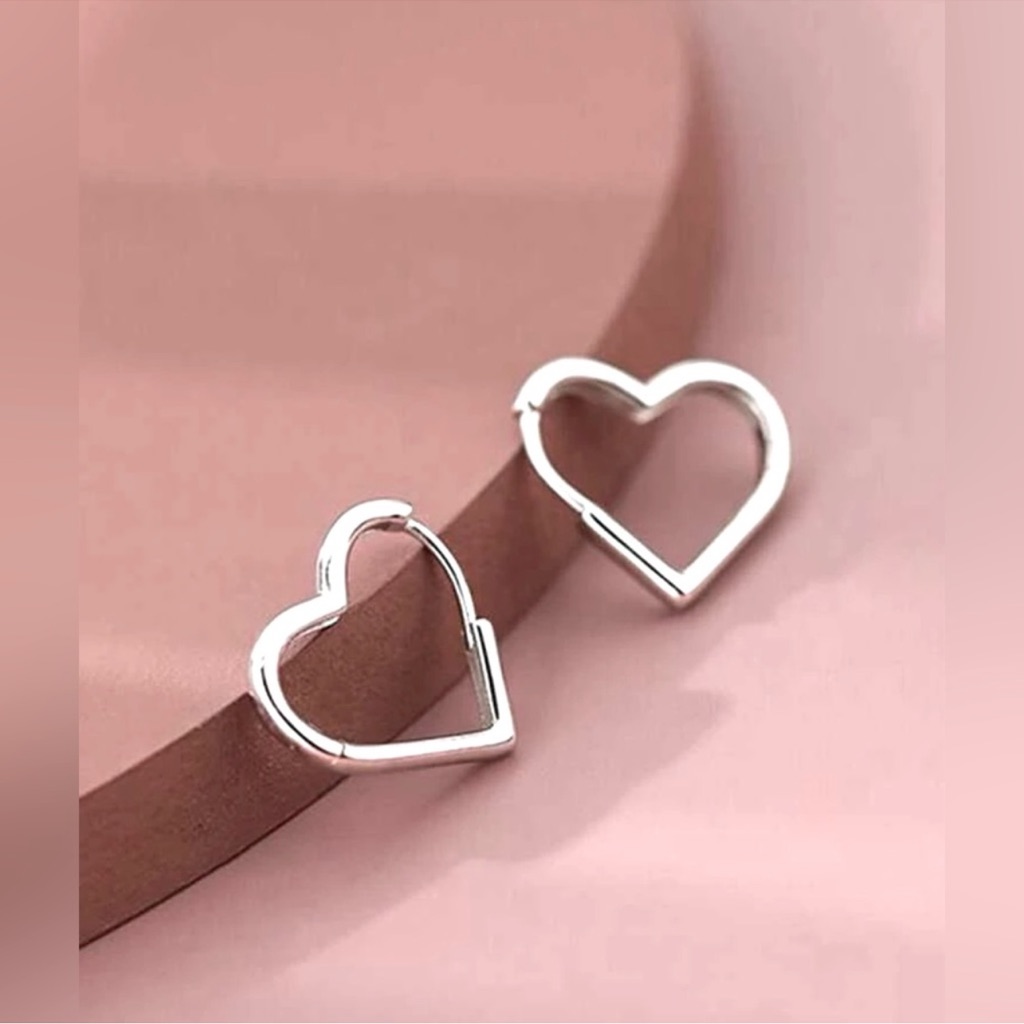 316 Surgical Stainless Steel Heart Earrings Nwt